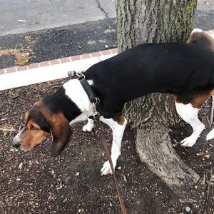 Meet your Posher, Nicholas